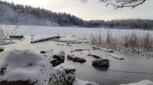 Judarskogens naturreservat